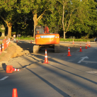 19. The other side of the straightening. Cambridge Tree Trust